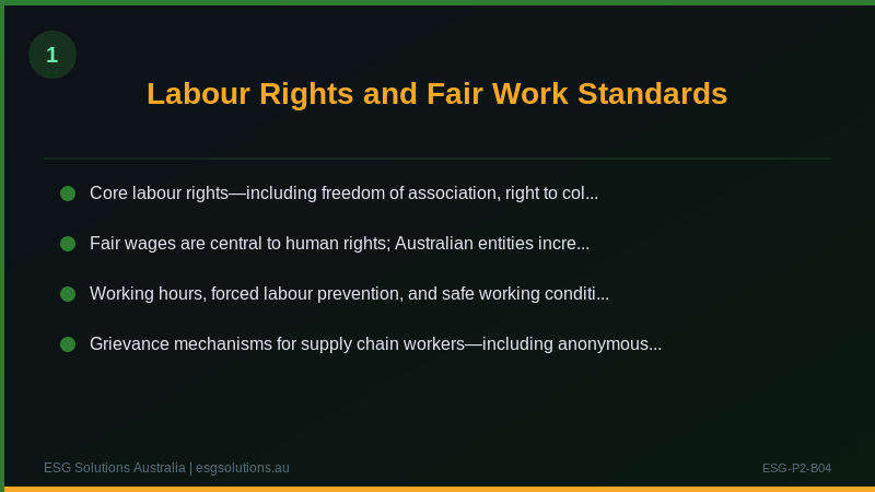 Human Rights in the Supply Chain: An Australian Business Guide — Section image 1